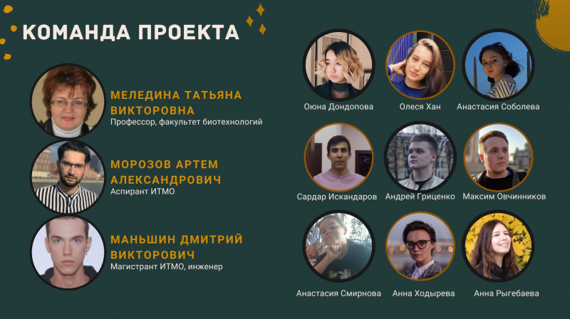 Team of the project “Technology for functional beer with probiotic and antioxidant properties”. Researchers (on the left): Tatiana Meledina, Artyom Morozov, Dmitry Manshin
