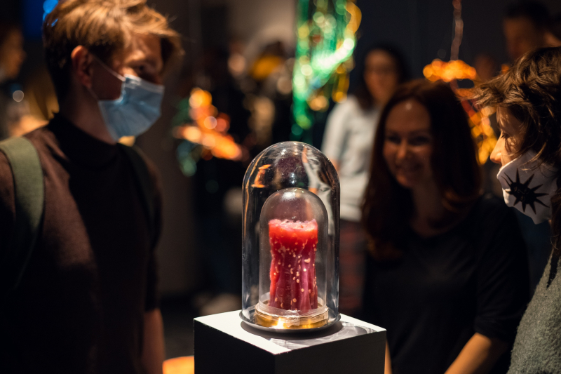 The Art & Science exhibition at the AIR gallery. Photo courtesy of Dmitry Grigoriev, ITMO.NEWS 