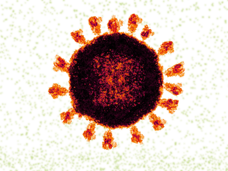 Коронавирус SARS-CoV-2. Источник: depositphotos.com
