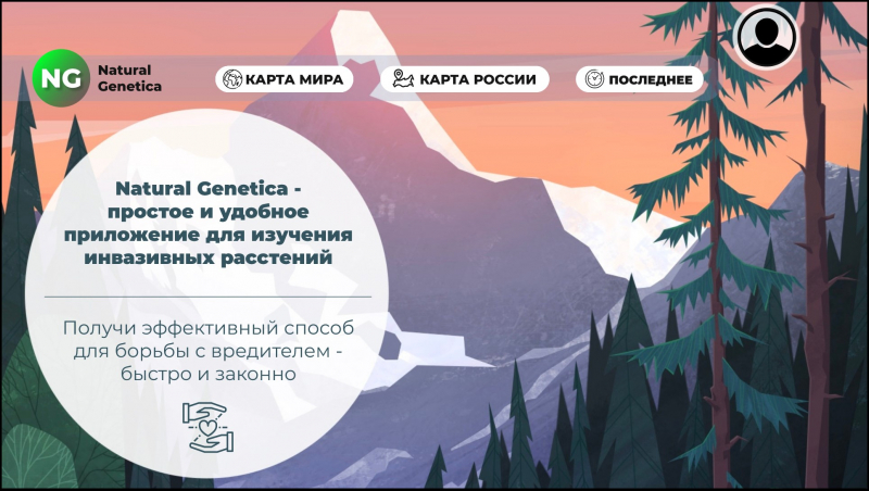 Home page of Natura Genetica, the app developed by Regina Tuganova's team. The app invites its users to discover a simple, efficient, and lawful way to combat invasive plant species. Picture courtesy of Regina Tuganova
