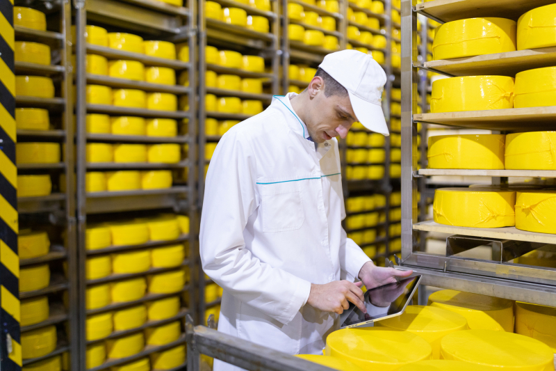 Quality control at a cheese production facility. Credit: depositphotos.com
