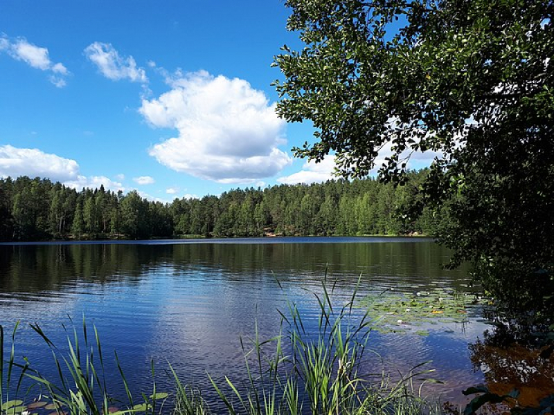 Lake Shchyche. Credit: GAlexandrova on Wikimedia Commons
