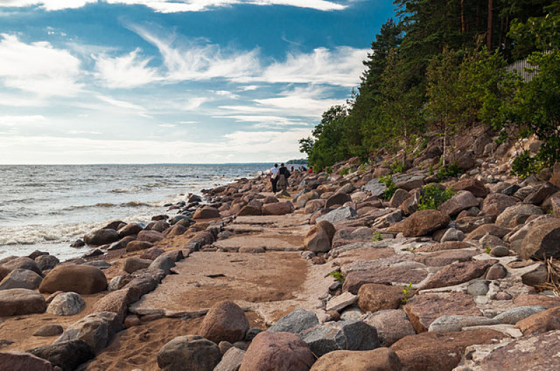 
Shore of the Bay of Finland near the Solnechnoye station. Credit: Volunka on Wikimedia Commons
