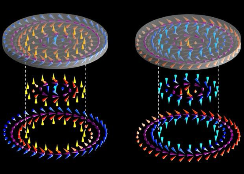 Спиновая структура скирмионов-мишеней с двумя различными направлениями вихрей. Источник: Physical Review Letters, 2017
