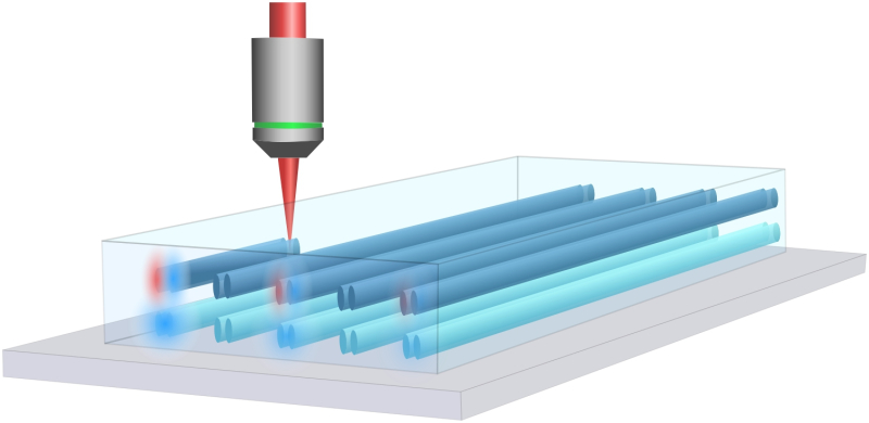 Фемтосекундный лазер вырезает волноводы в образце стекла. Источник: M. Mazanov et al. / Nano Letters, 2024
