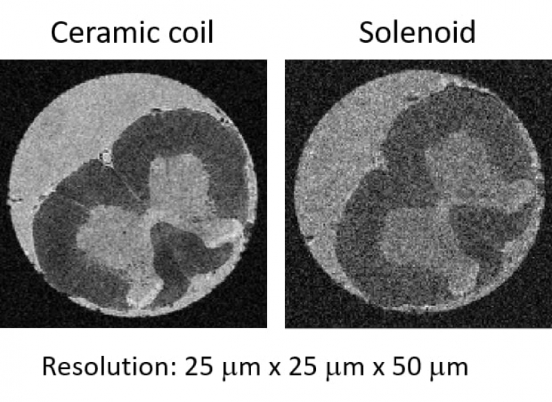 Сравнение микроскопического изображения спинного мозга крысы (показано поперечное сечение), сделанное на томографе 17 Тл с использованием предложенного керамического зонда и стандартного зонда в виде соленоида