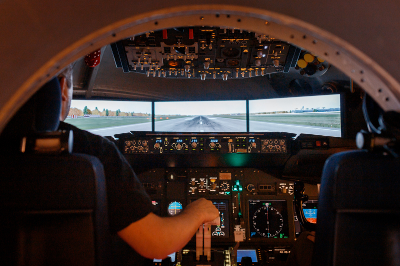 A professional flight simulator