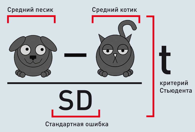 Student's t-test explained in “Statistics and kittens”: mean dog minus mean cat divided by standard error. Credit: popmech.ru 