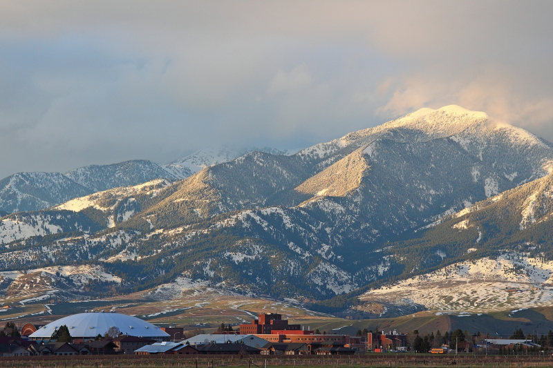 Montana State University. Photo courtesy of the subject.