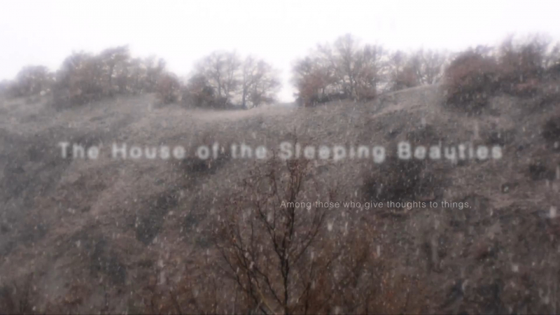 The House of the Sleeping Beauties by Laura Ige. Credit: cargocollective.com