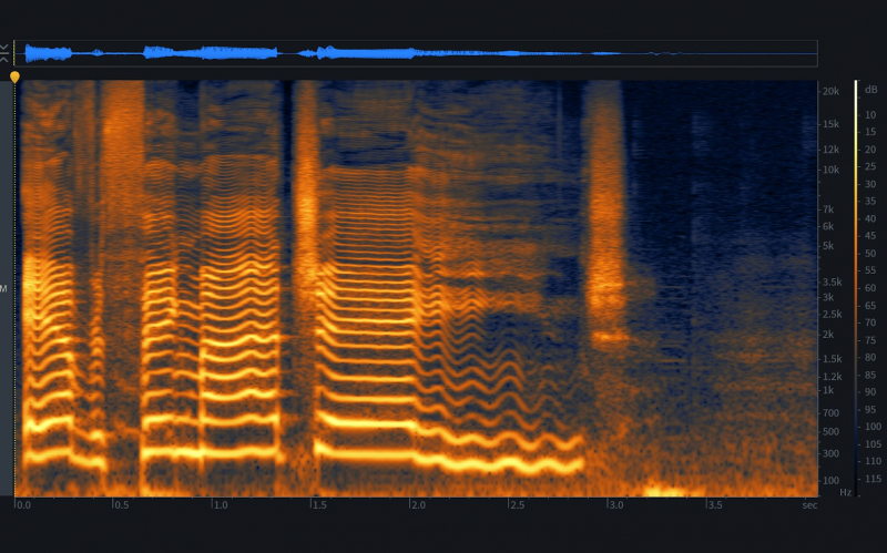 Speech spectrogram. Credit: izotope.com