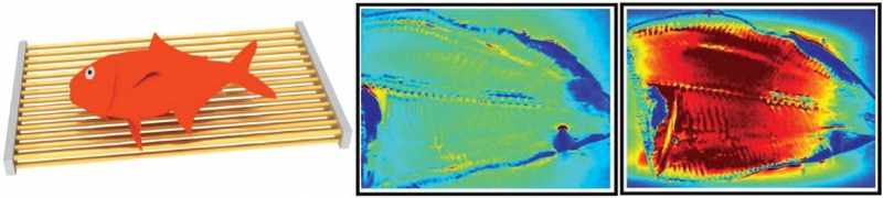 Использование метаматериалов на основе массивов медных проводов для усиления сигнала магнитно-резонансного томографа