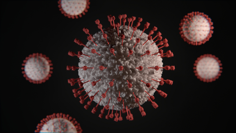 Our immune system detects and kills viruses. Credit: Victor Forgacs on Unsplash