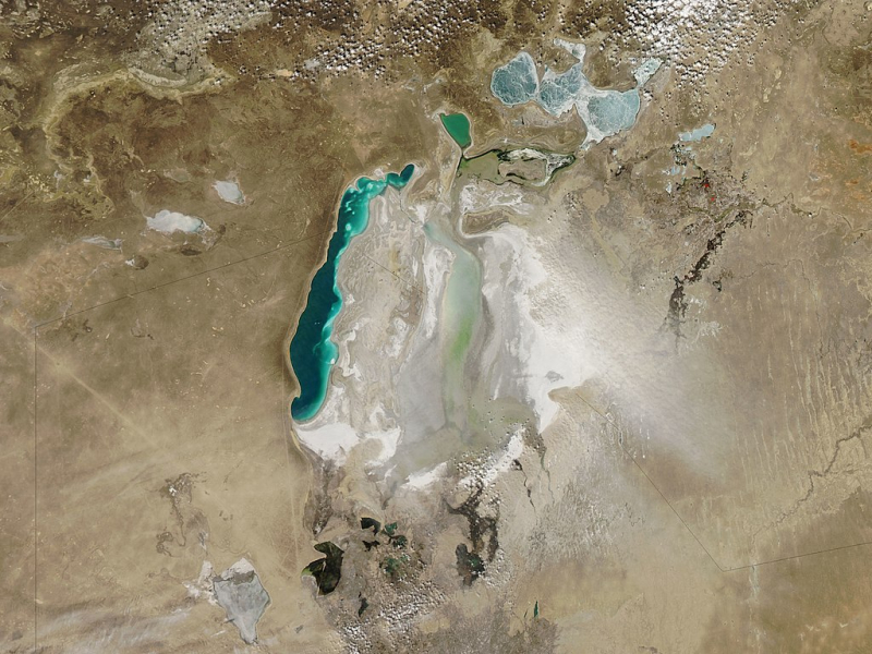 Satellite image of the Aral Sea in March 2010. Credit: NASA / Jeff Schmaltz / Wikipedia Commons