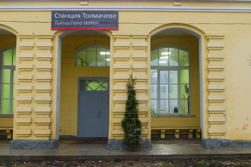 A shot of the fir tree at Tolmachevo station when waiting for the train to arrive towards St. Petersburg