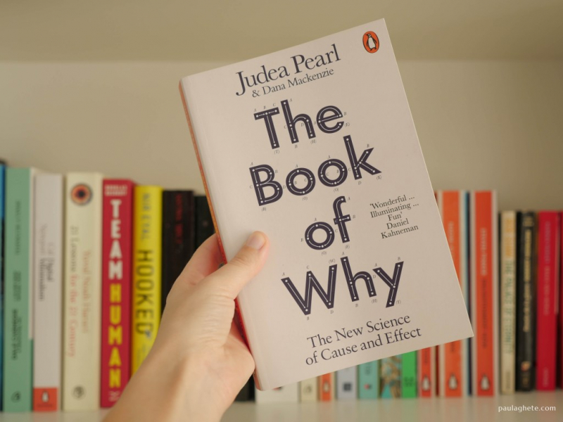 The Book of Why. Credit: paulaghete.com