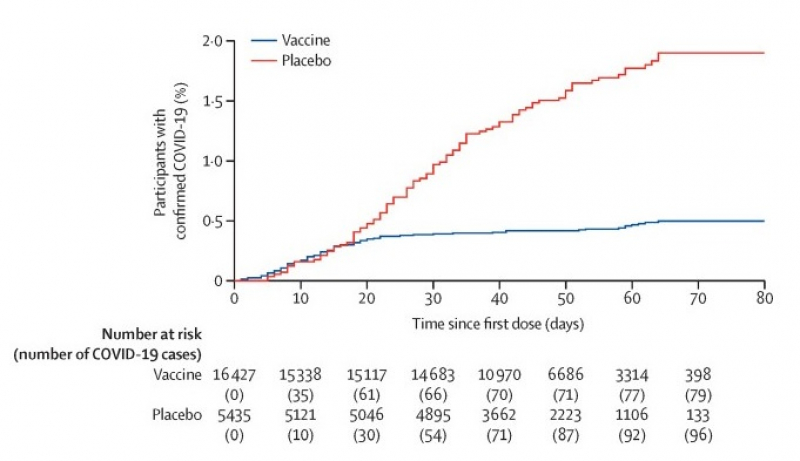 Illustration from the article Safety and efficacy of an rAd26 and rAd5 vector-based heterologous prime-boost COVID-19 vaccine: an interim analysis of a randomised controlled phase 3 trial in Russia. Credit: thelancet.com
