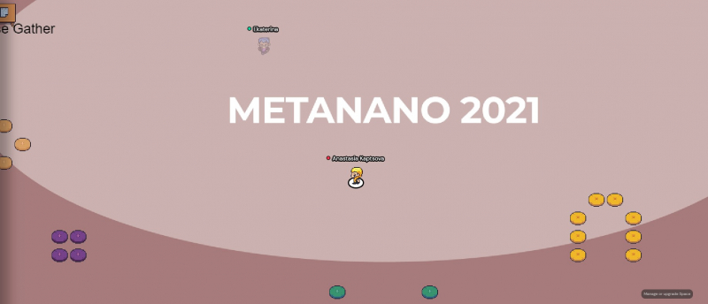 METANANO 2021. Picture courtesy of the conference participants
