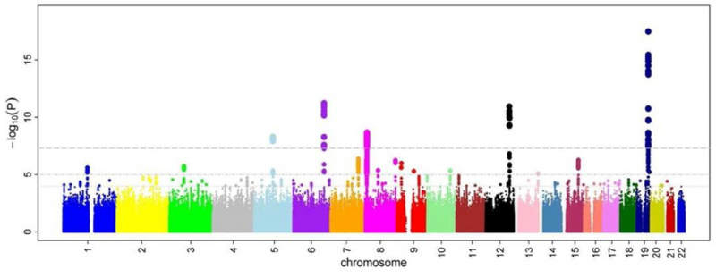 A Manhattan plot of some of the closely connected risk loci. Each point is a single-nucleotide polymorphism; its location is reflected on the X axis, while the Y axis shows the association level. The plot is taken from a GWAS study of microcirculatory disorders in blood vessels. Credit: M. Kamran Ikram, wikipedia.org (CC BY 2.5) 
