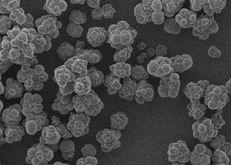 Calcium carbonate nanoparticles. Image courtesy of the research team
