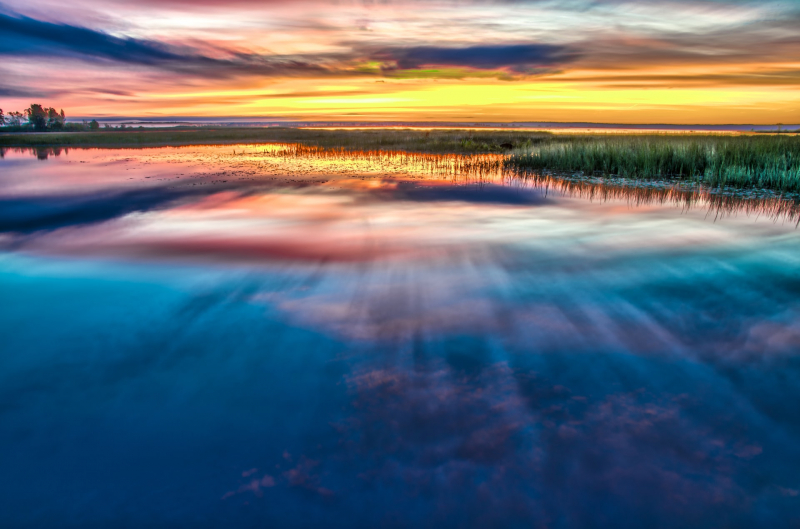 Sestroretsk Wetlands. Credit: Nikolay Avakyan (@nik009) via Unsplash
