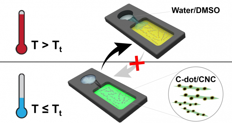 Operation of the temperature indicator with a frozen (below) and melted (above) water-dimethyl sulfoxide solvent. The melting of the solvent in the above-threshold temperature (Tt) and saturation of the carbon dot/crystal cellulose film leads to irreversible changes in the fluorescence of carbon dots, thus signaling temperature shifts. Image courtesy of the researchers
