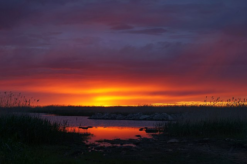 Sunset on Lake Ladoga. Credit: Eseyf on Wikimedia Commons.
