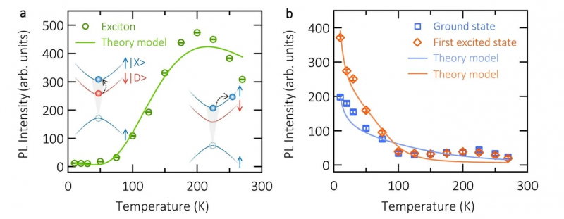 Integral temperature dependencies of fluorescence in regular excitons (a) and exciton-polaritons (b). As seen on the plot, regular excitons stop radiating in lower temperatures, while a reverse dependence is seen for exciton-polaritons. Images from the article, credit: nature.com
