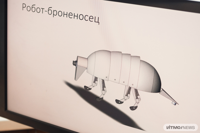 The concept of a protected armadillo robot developed by Elizaveta Shelukhina. When hit by something, the robot rolls into a ball to protect its insides. Photo by Dmitry Grigoryev, ITMO.NEWS
