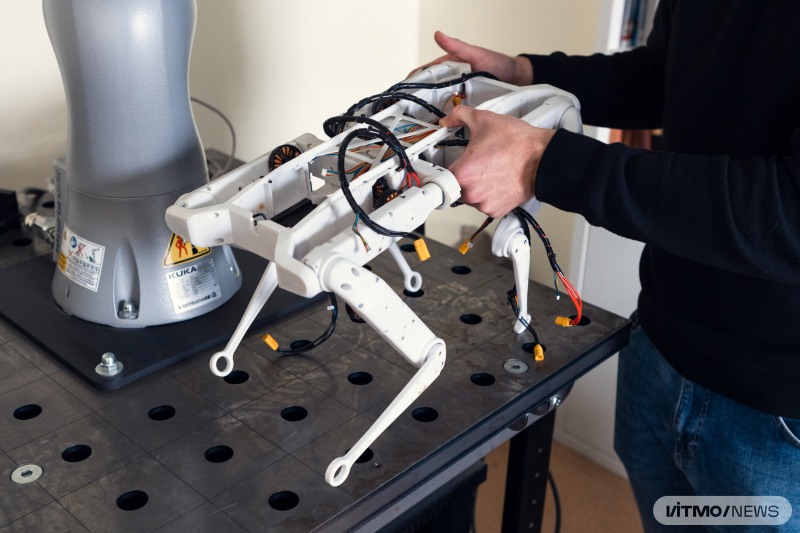 На факультете систем управления и робототехники также работают над возможностью создания собственных роботов-собак. Фото: Дмитрий Григорьев / ITMO.NEWS
