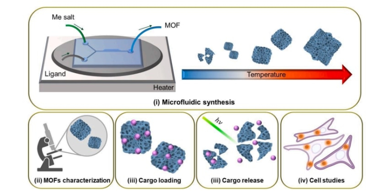 A schematic illustration of MOFs synthesis and analysis. First, the researchers loaded the chip with reagents: metal salts and ligands. Then, by varying the temperature, the researchers acquired nanoparticles of different shapes and sizes. After that, the researchers described the acquired material and loaded fluorescent tags on its surface before trying to release them with a laser. Finally, the reseachers analyzed the toxicity of nanoparticles in murine melanoma cells. Image courtesy of Irina Koryakina
