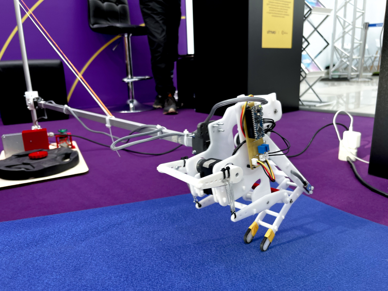 A hopping robot. Photo by Zayana Takaeva / ITMO.NEWS
