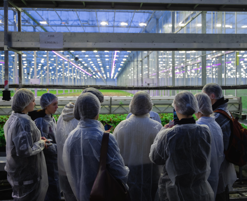 Participants visiting a greenhouse. Photo by Megabyte Media
