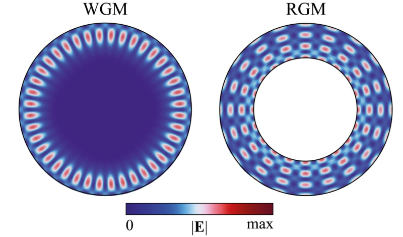 A visualization of differences between the resonant properties of a ring (right) and a disk (left): optical waves span the entire volume of the ring resonator, not just a narrow area along the wall as it happens in the disk one. Image courtesy of Nikolay Solodovchenko
