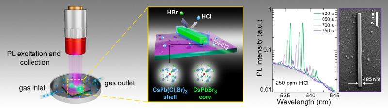 Left to right: a schematic of HCl gas detection based on a perovskite nanolaser encapsulated in a gas cell; a schematic of the resulting shell-core structure; the laser’s typical response to HCl gas – a shift in the laser line towards a shortwave range of the spectrum and a longer interaction time with HCl molecules; a scanning electron microscope image of a typical thread-like perovskite nanocrystal used as a nanolaser. Images courtesy of Daria Markina
