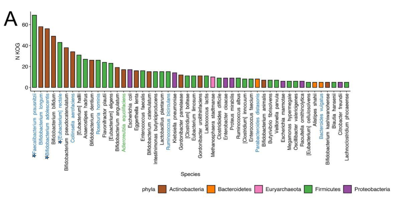 The ranking of functional biomarkers in microbial species; species with a positive response to immunotherapy are highlighted blue. Illustration from the article / journals.asm.org
