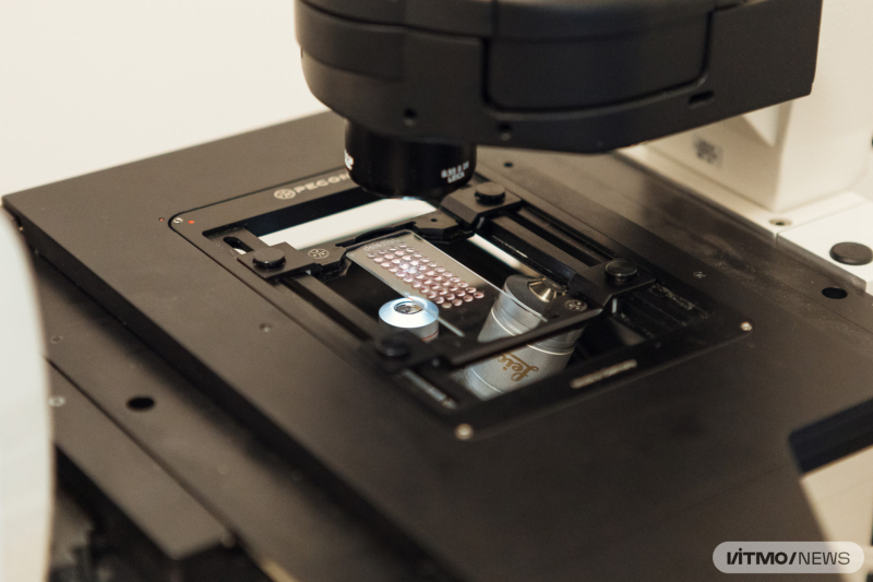 Омнифобный чип с жизнеспособными клетками. Его изучением и созданием занималась команда проекта «Прикладное чипирование». Фото: Дмитрий Григорьев / ITMO.NEWS
