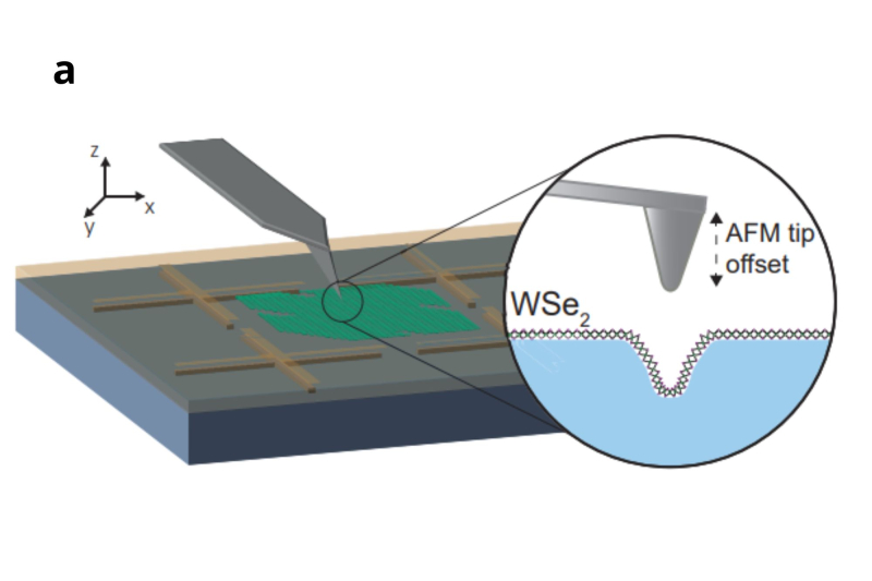 In the experiment, the researchers deformed a WSe2 semiconductor monolayer. This monolayer possesses atomic defects: cells that don’t contain atoms. In the cells where the deformation reaches the necessary scale, quantum light is produced, creating a single-photon emitting system. Credit: Nature Communications
