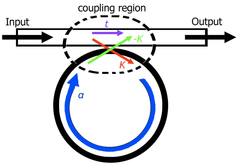 Coupling between ring resonators and a waveguide. Credit: Lamboman2008 / Wikimedia Commons / CC BY-SA 3.0
