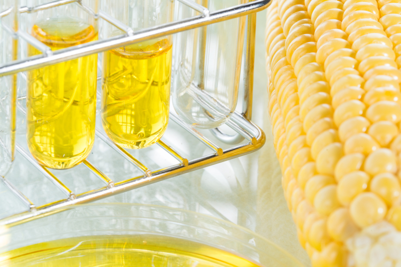 Biofuel made from corn starch. Credit:  primagefactory / photogenica.ru

