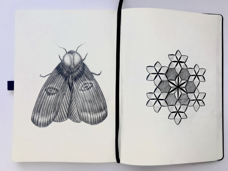 A spread from my sketchbook: a pattern from the geometric design course on the right and a moth I drew later the same day on the left.
