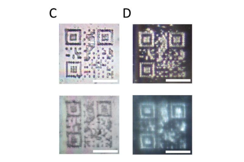 QR-коды на поверхности (C) и в объеме (D) микрокристалла МОК. Схема предоставлена учеными
