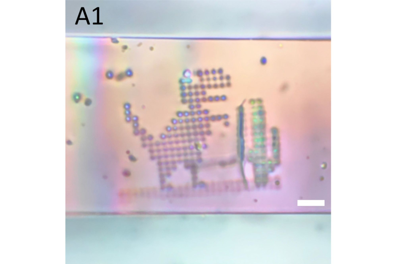 Многоцветное изображение в микрокристалле МОК. Фото предоставлено учеными
