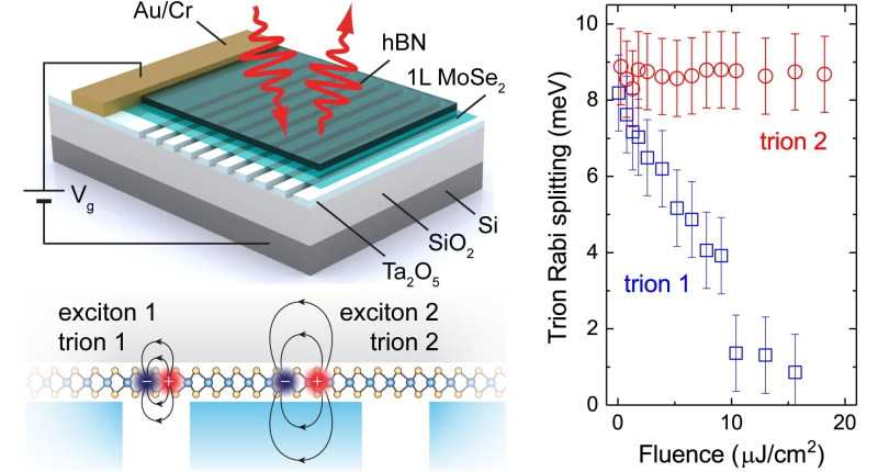 Top left: A schematic of the device, controlled by electricity and laser pulses. Bottom left: two different exciton states formed inside the device. Right: the dependence between light-matter coupling strength and laser radiation for two different polariton states. Illustration courtesy of the researchers
