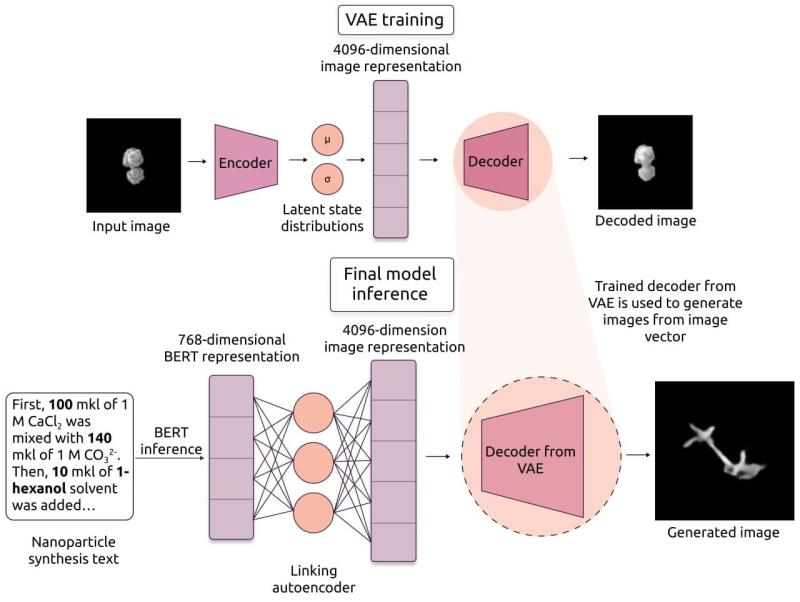 A schematic of the suggested model. Image courtesy of the researchers
