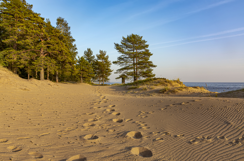 Near the Gulf of Finland. Credit: zoya54.list.ru / photogenica.ru
