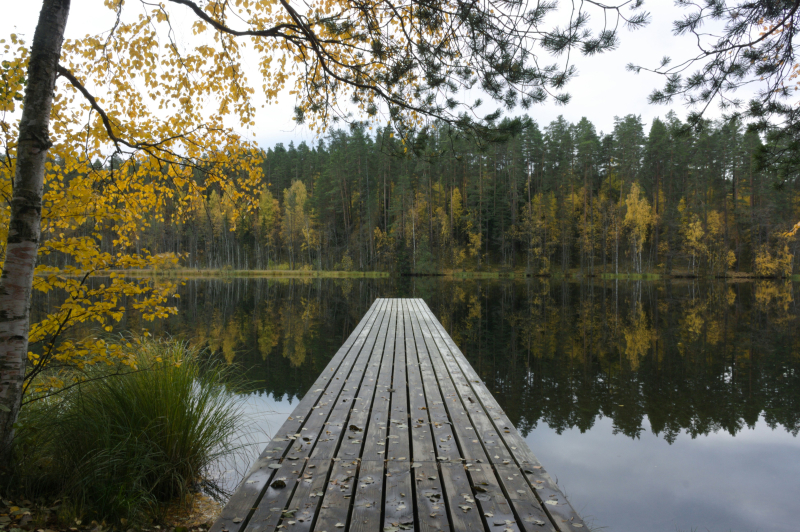 Yagodnoe, Leningrad Oblast. Credit: Илья Кличук (@conditus) via Unsplash
