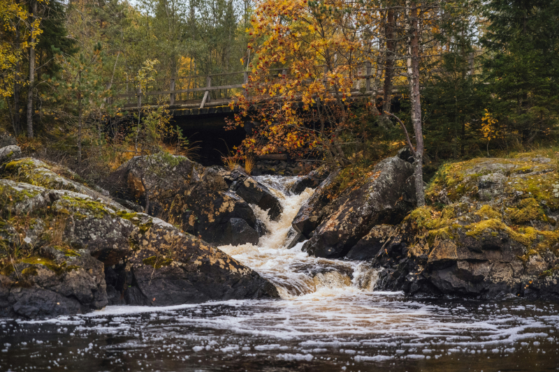 Karelia. Credit: Vladimir Fedotov (@fedotov_vs) via Unsplash
