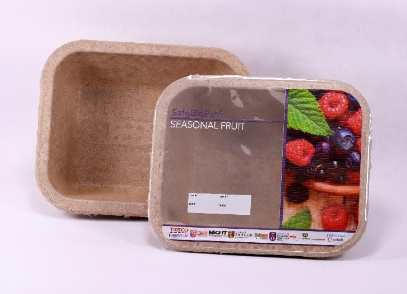 Food packaging made with palm biomass. Photo courtesy of the subject
