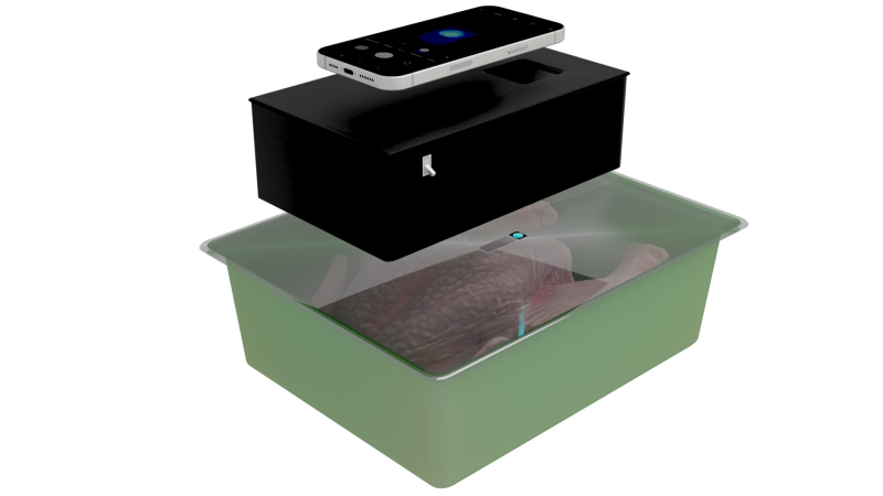 Visualization of the smartphone module’s application to detect the signal from smart packaging indicator. Photo courtesy of the researchers
